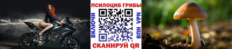 Галлюциногенные грибы Magic Shrooms  блэк спрут зеркало  Арамиль  купить наркотики цена 